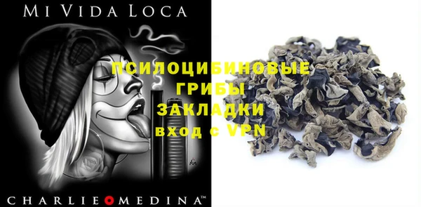 прущий лед Касимов